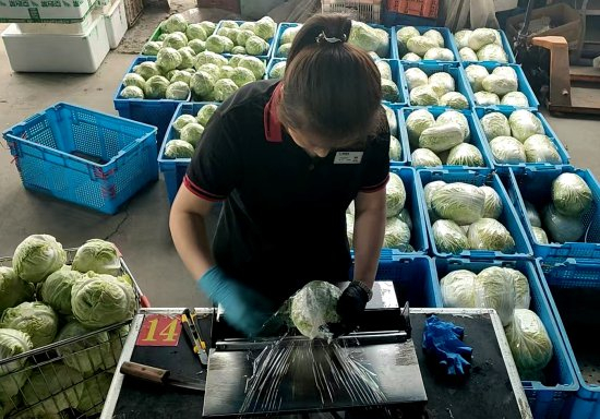 “每一声剪刀响，都是对消费者负责”——一位电商验货员的春节前夕