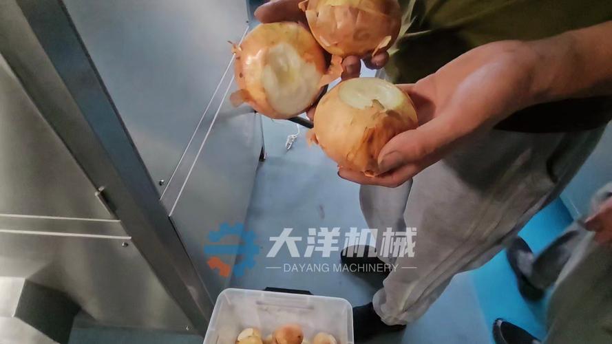 HDQC-2000型黄洋葱脱皮机客户验货纪要